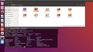 Linux команды pwd, ls и file.