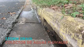 Lesson about Storm Drains