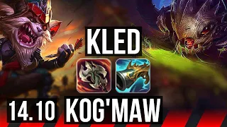 KLED vs KOG'MAW (TOP) | 6 solo kills, 1300+ games | EUW Master | 14.10