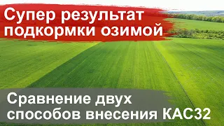 Опыты Cultan 2020 промежуточные результаты внесения КАС 32 - пшеница, Березовка, Харьковский район