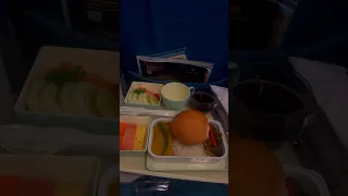 Indian Vegetarian Meals in Vietnam Airlines 🤤 #shortsindia