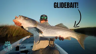 Fishing for BIG Fall Run Stripers - California Delta