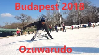 Budapest ice skating/freestyle 2018