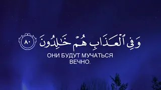 Сура 5 Аль-Маида(Трапеза), Аяты 80-81, чтец Арби Аш Шишани