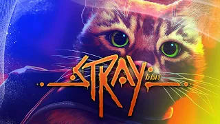 Перший у світі чесний огляд Stray