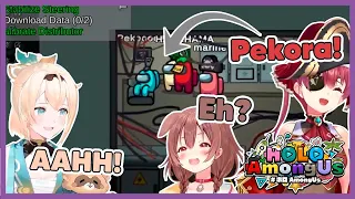 Pekora got caught venting but keep pointing the blame on others (and failed)【 ALL POVs】|| EngSub