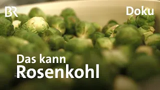 Rosenkohl aus Oberfranken: Vitamine am Stiel | Zwischen Spessart und Karwendel | Doku