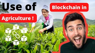 How Blockchain is Revolutionizing the Agricultural industry.