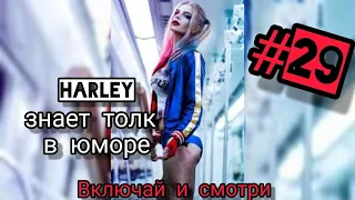 Лучшие приколы 2020 до слёз от Harley #29 ДЕКАБРЬ