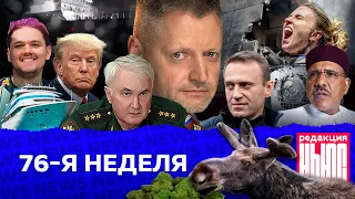 Редакция. News: 76-я неделя