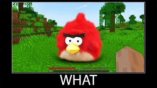 Minecraft wait what meme part 239 realistic minecraft Angry birds