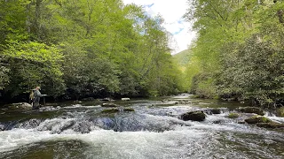 Flyfishing Deep Creek & Indian Creek - Great Smoky Mountain National Park | #fish #angler #gsmnp