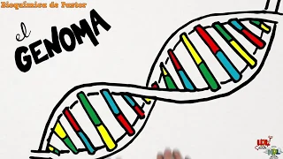 El Genoma
