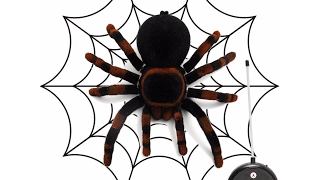 Giant Tarantula Spider RC Toy Remote Control