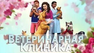 Ветеринарная клиника "КітПес"  | The Sims 4: КОШКИ И СОБАКИ