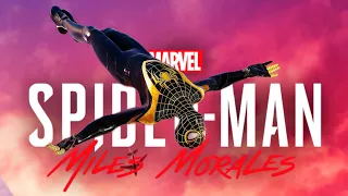 Spider-Man Miles Morales - Stylish Web Swinging & Epic Combat | Black and Gold Suit