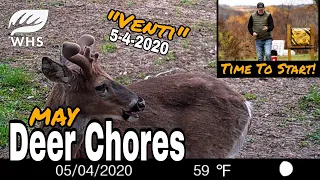 May Deer Hunting And Habitat Chores