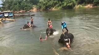 Купание со слоном Тайланд