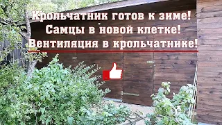 Крольчатник готов к зиме! Самцы в новой клетке! Вентиляция в крольчатнике!