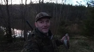 Охота на вальдшнепа 2023 уже скоро ! Woodcock hunting давайте вместе вспомним как это было .