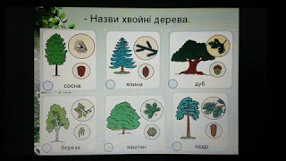 Я дослiджую свiт 1 клас Я дослiджую листянi i хвойнi, дикорослі та культурні рослини.