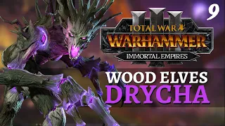 FESTUS CHALLENGES | Immortal Empires - Total War: Warhammer 3 - Wood Elves - Drycha #9