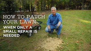 How to Patch Your Lawn When a Small Repair is Needed