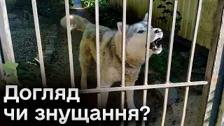 🐕😱 Господарі покинули пса в загорожі, а доглядальник наживається! Історія хаскі з Мережі