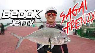 Bedok Jetty Fishing | Sagai Frenzy | Ajing Fishing | Ultralight Fishing