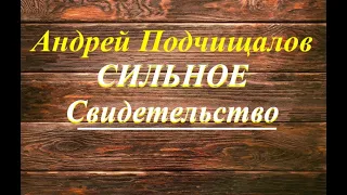 СВИДЕТЕЛЬСТВО  БРАТА АНДРЕЯ - Вячеслав Бойнецкий