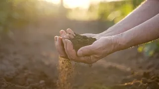 Regenerative Agriculture | The Henry Ford’s Innovation Nation