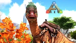 ПЕРВОЕ и ТЯЖЁЛОЕ приручение - ARK Survival Evolved - Карта Ragnarok - Кооператив