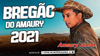 Bregão do Amaury 2021   Amaury Junior   Seresta