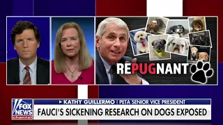 Tucker Carlson Tonight 10-26-21 Kathy Guillermo