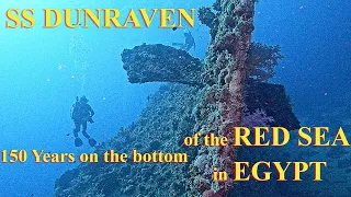 Exploring the Dunraven Shipwreck: Dive into Egypt's Maritime History