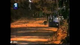 TAP Rallye de Portugal 1997 - "Vila Pouca 2"