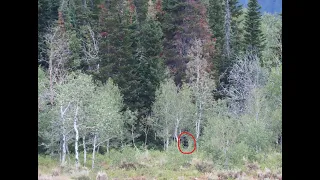 Search for Six Bit Hollow Sasquatch in Utah Bigfoot Hot Spot