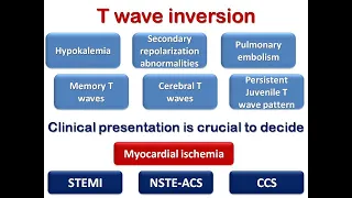 ECG course: T wave inversion, Dr. Sherif Altoukhy