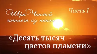 Шри Чинмой читает «Цветы пламени». Ч.1