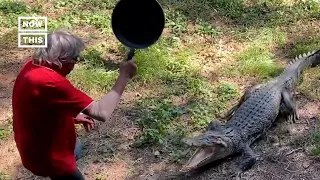 Man Uses Frying Pan to Hit Crocodile & Shoo the Creature Away