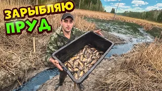 Зарыбляю пруд! Ловля карпа руками в болоте.Спускаю озеро.