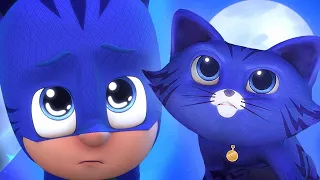 Catboy Turns into a REAL cat?! | PJ Masks Official