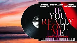 David Guetta x Mistajam x John Newman - If You Really Love Me (Acapella+Instrumental)