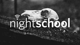 NightSchool: After Life