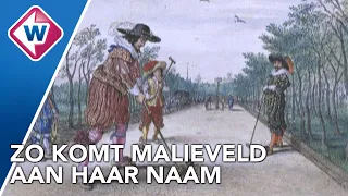 Waarom het bekende Malieveld in Den Haag nooit bebouwd wordt - OMROEP WEST