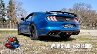 Ford Mustang GT55 stock exhaust | Cold Start | Warm Start | Modes