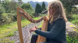 Reidun plays "Blind Mary" (Turlough Carolan) on Celtic Harp #HarpDay2021 #HarpIreland
