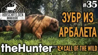 theHunter call of the wild #35 🔫 - Зубр Из Арбалета - Арбалет, Винтовка - Зубр, Кабан, Косуля