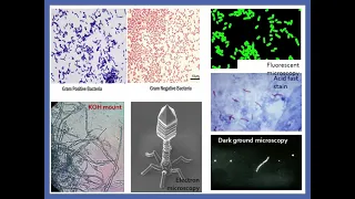 Microbiology - Laboratory Diagnosis of Infectious Diseases