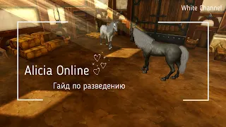 Alicia Online Breeding Guide~Гайд по Разведению